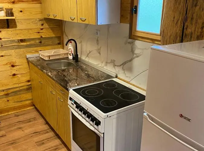 Dom wakacyjny Vikendica Milosevic